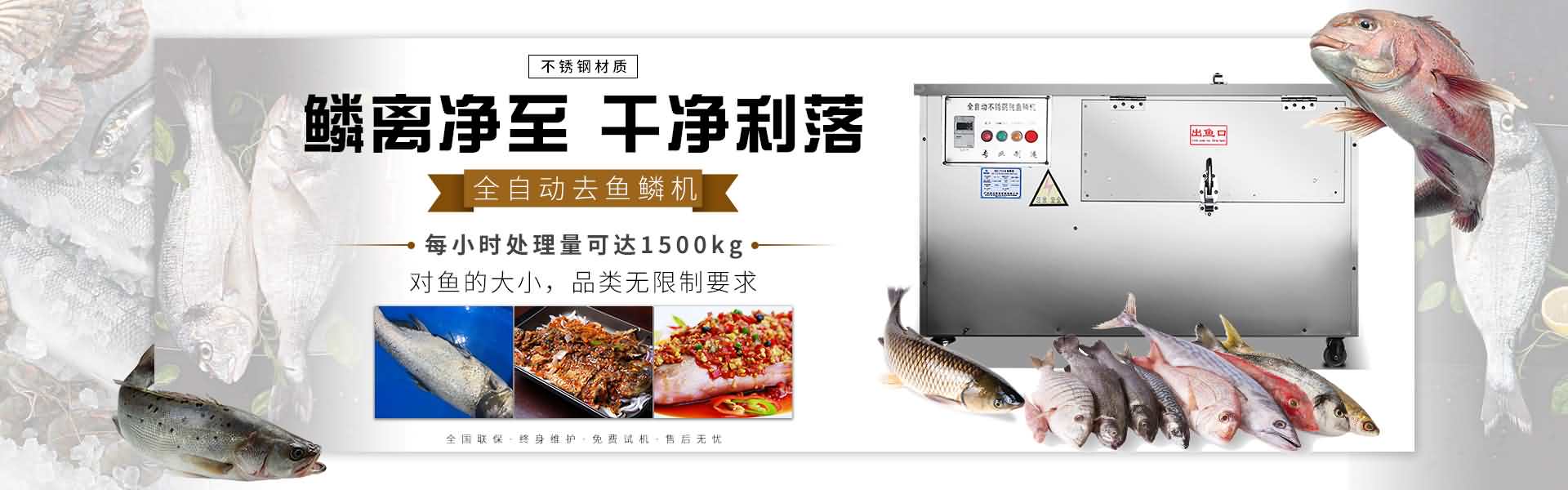 去魚(yú)鱗機(jī)設(shè)備_輕松去黑魚(yú)鱗機(jī)器_刮草魚(yú)鱗機(jī)