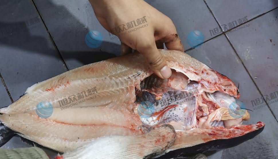 殺魚機(jī)，商用殺魚機(jī)，全自動(dòng)殺魚機(jī)，旭眾殺魚機(jī)，殺魚機(jī)哪家好