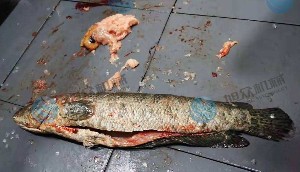 魚片機，片魚片機，片魚機，斜切魚片機，全自動魚片機