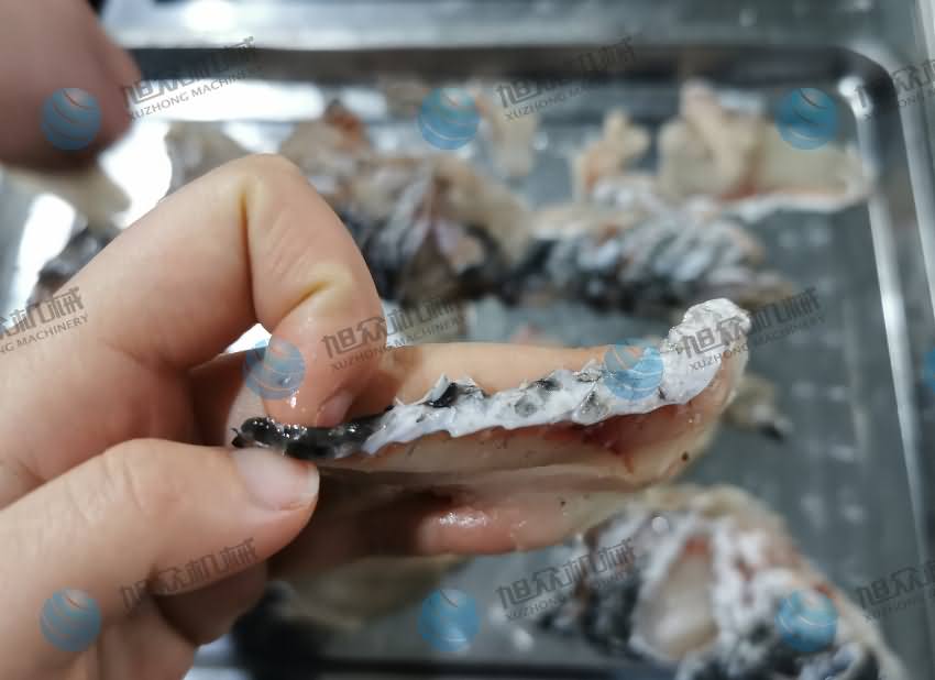 魚片機，片魚片機，片魚機，斜切魚片機，全自動魚片機