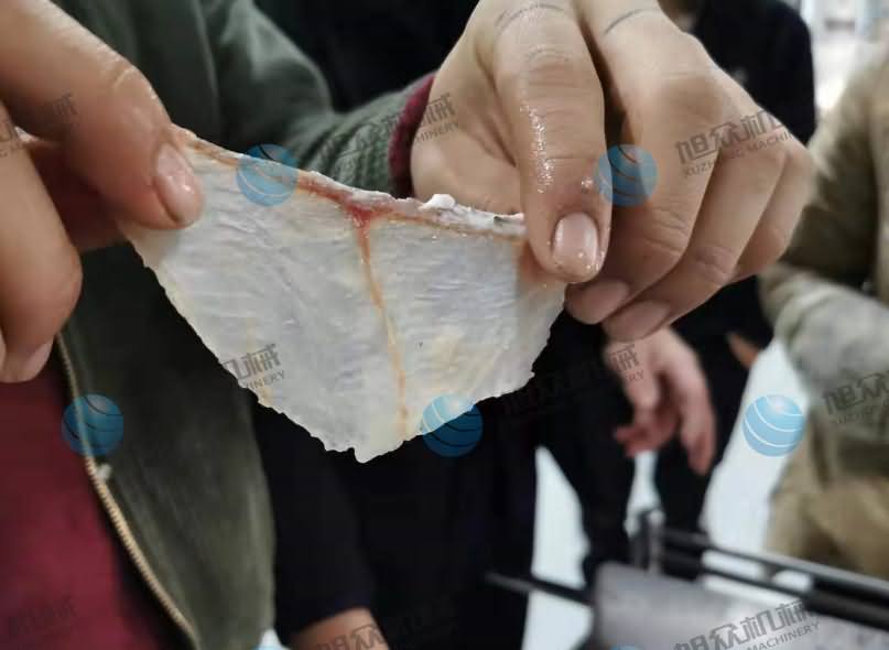 魚片機，魚片機器，片魚機，片魚片機，全自動斜切魚片機
