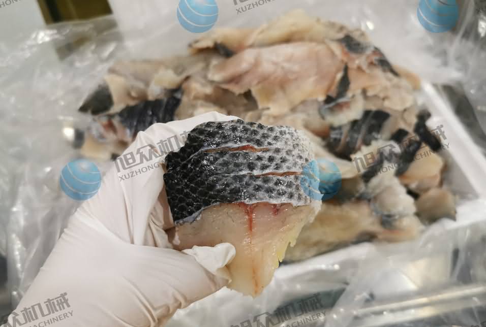 魚片機(jī)，片魚片機(jī)，全自動(dòng)魚片機(jī)，商用片魚片機(jī)器，切魚片機(jī)
