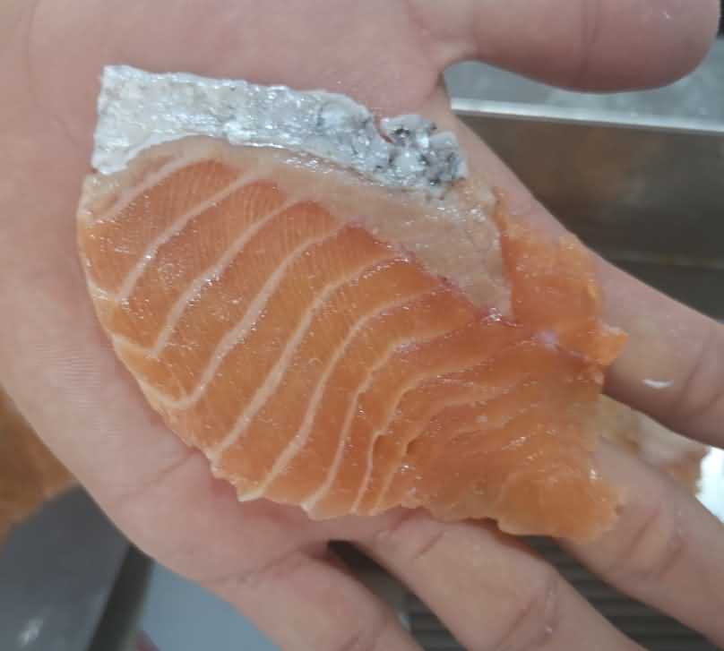 魚片機，自動切魚片機，旭眾魚片機，多功能切魚片機，魚片機多少錢