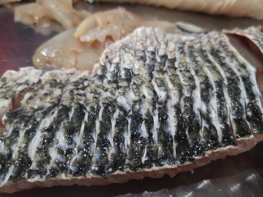 切魚片機(jī)，自動切魚片機(jī)，片魚片機(jī)器，魚片機(jī)廠家，切魚片機(jī)多少錢