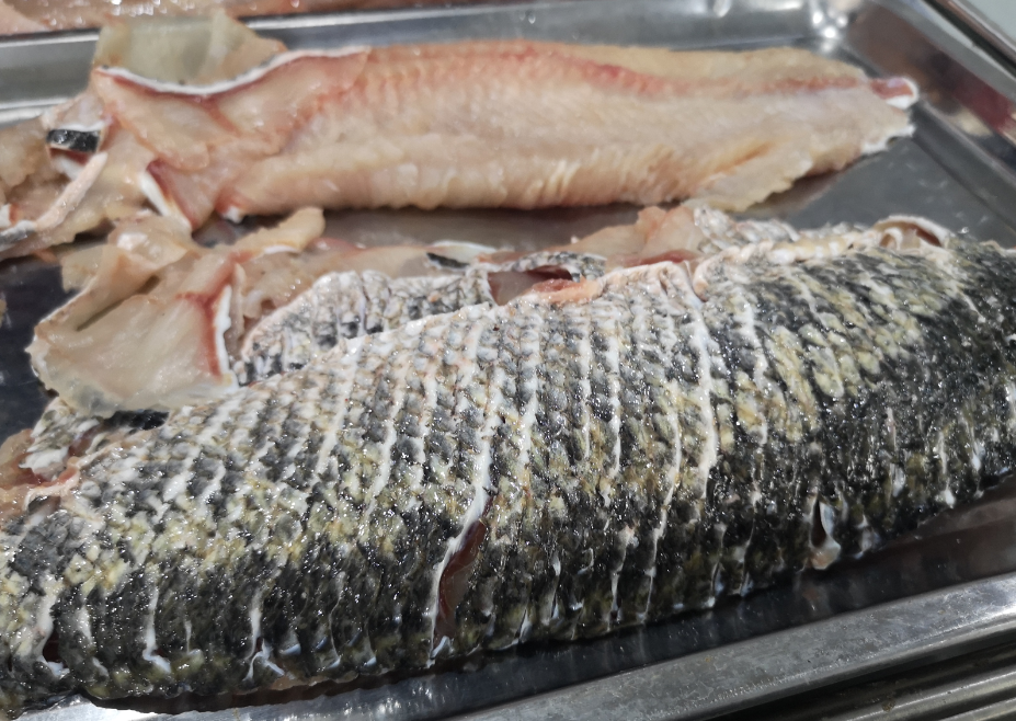 切魚片機(jī)，自動切魚片機(jī)，片魚片機(jī)器，魚片機(jī)廠家，切魚片機(jī)多少錢