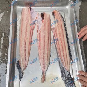 現(xiàn)場試機鯰魚，三枚開片去魚骨機